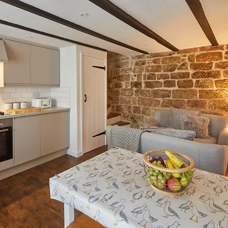 Host & - Dolphin 1736