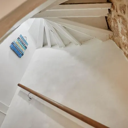 度假居 Host & - Dolphin 1736