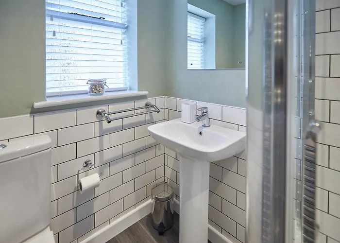 Host & - Dolphin 1736