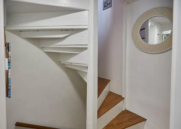 Host & - Dolphin 1736 *